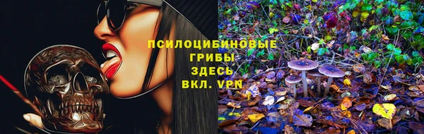 jwh Вяземский