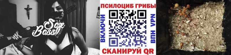 Псилоцибиновые грибы GOLDEN TEACHER  Павлово 